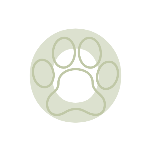 Marina Sanchez | Especialista Marketing